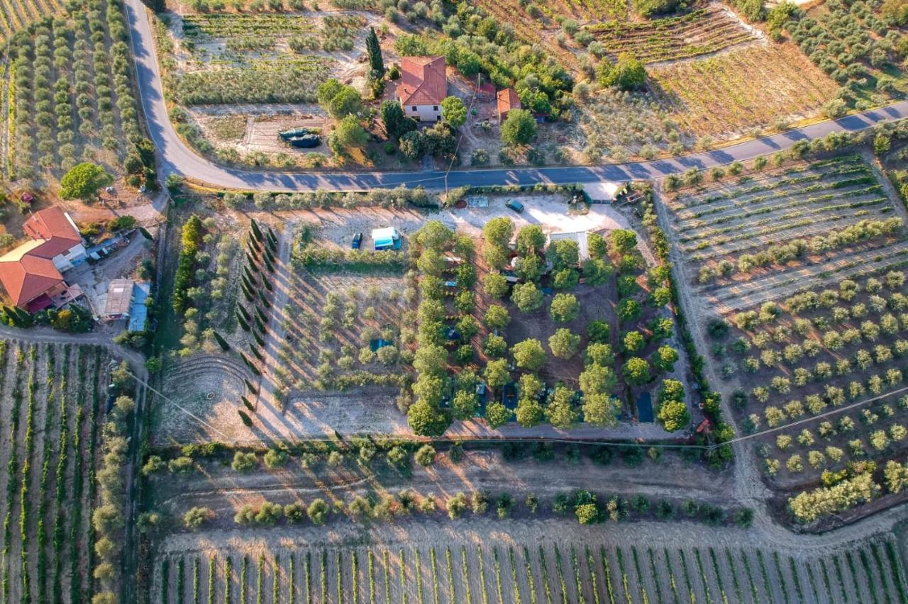 Agricamping Poggio Ai Pini Wine Camping Certaldo Extérieur photo