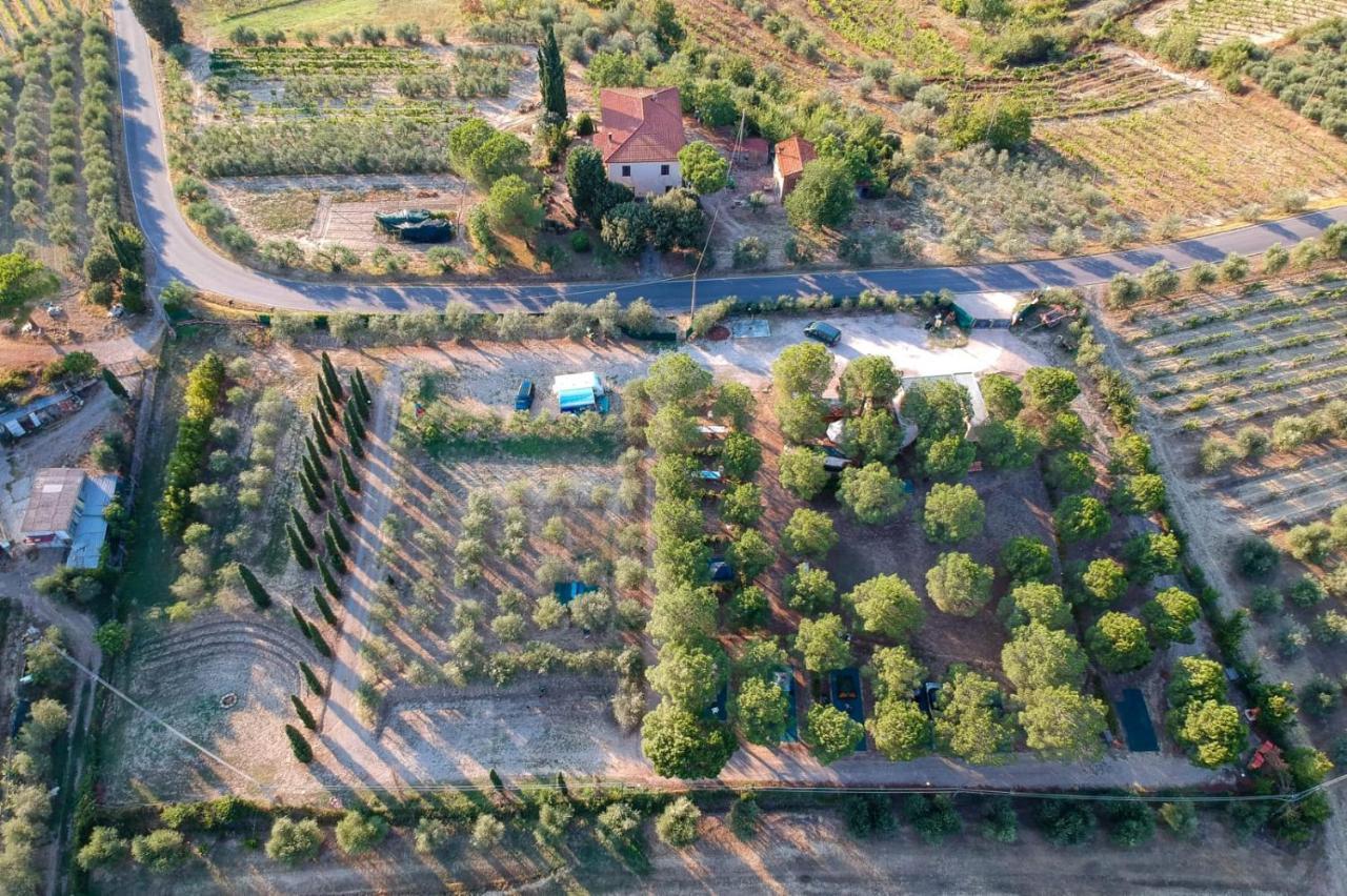 Agricamping Poggio Ai Pini Wine Camping Certaldo Extérieur photo