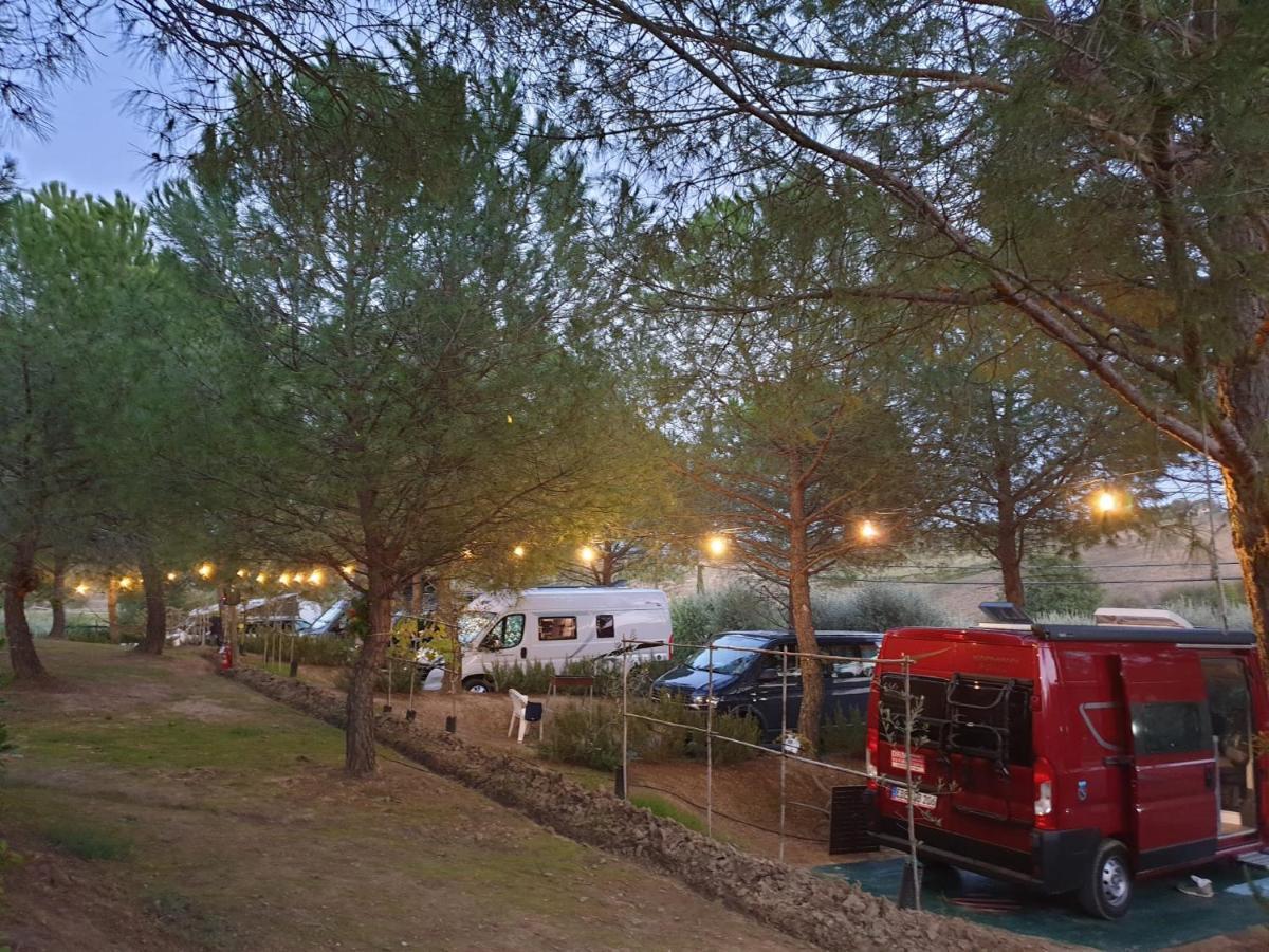 Agricamping Poggio Ai Pini Wine Camping Certaldo Extérieur photo