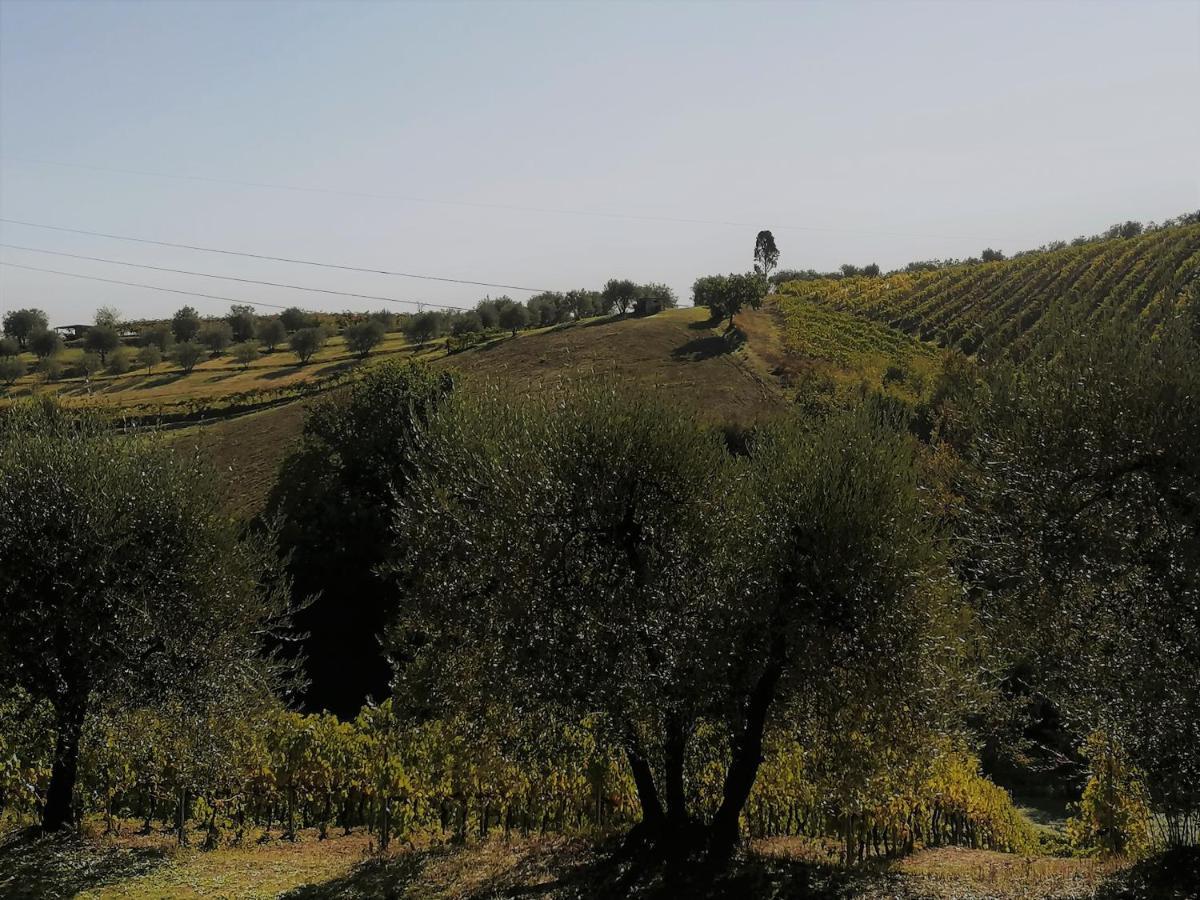 Agricamping Poggio Ai Pini Wine Camping Certaldo Extérieur photo