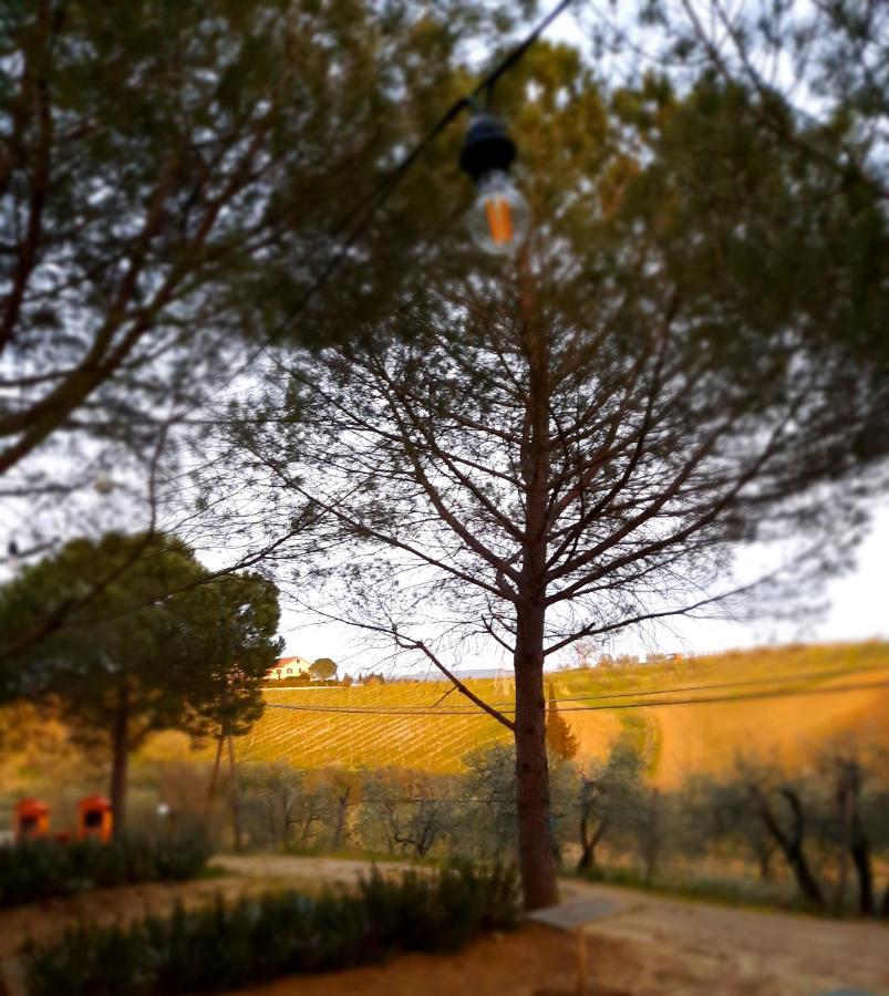Agricamping Poggio Ai Pini Wine Camping Certaldo Extérieur photo