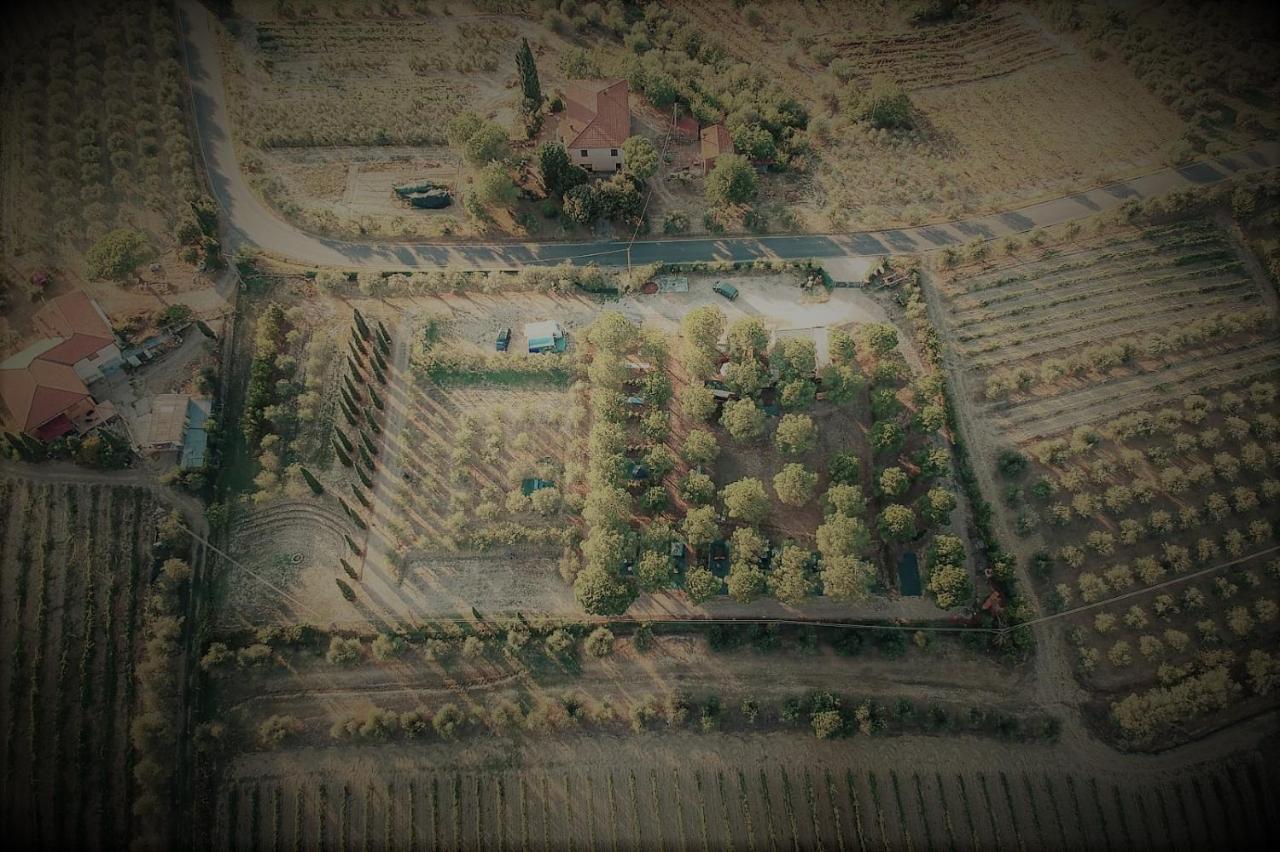 Agricamping Poggio Ai Pini Wine Camping Certaldo Extérieur photo