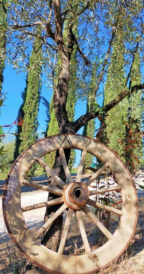 Agricamping Poggio Ai Pini Wine Camping Certaldo Extérieur photo